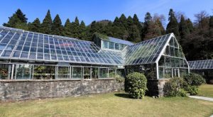 Greenhouse 36311118 © chungking - Fotolia