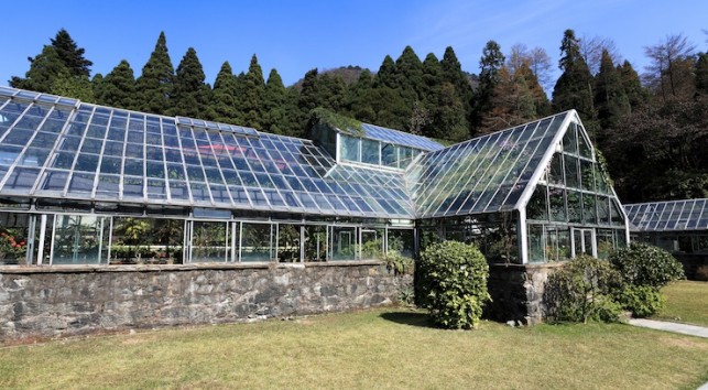 Greenhouse 36311118 © chungking - Fotolia