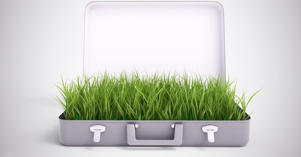 grass briefcase corporate sustainability A\J AlternativesJournal.ca