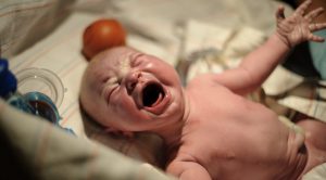 crying baby polluted cord blood A\J AlternativesJournal.ca