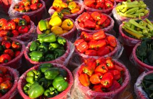 peppers farmers market A\J AlternativesJournal.ca