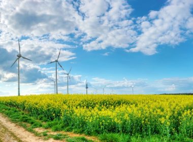 The path to renewable energy.  A\J History. Alternatives Journal.