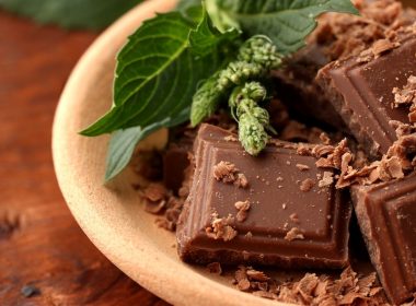 Pieces of chocolate and mint leaves