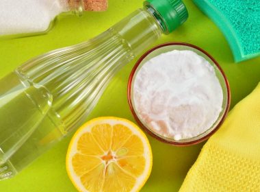 cleaning with lemon, vinegar, baking soda and borax A\J AlternativesJournal.ca