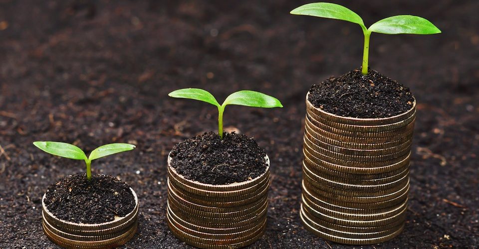 Seedlings growing on stacks of coins.
