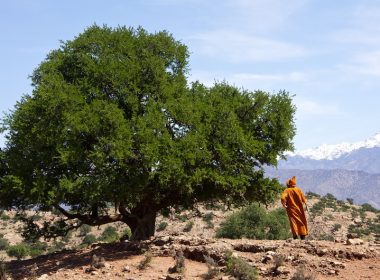 Argan