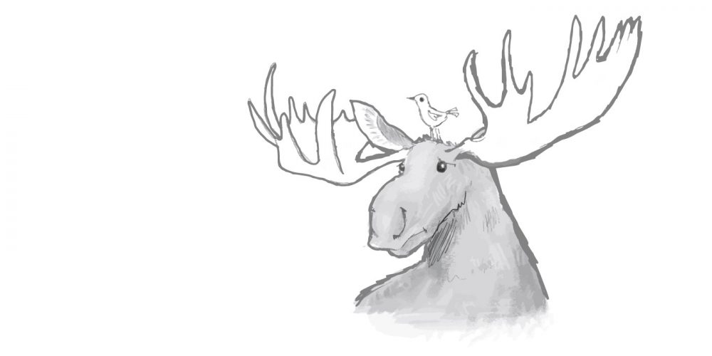 barker_moose