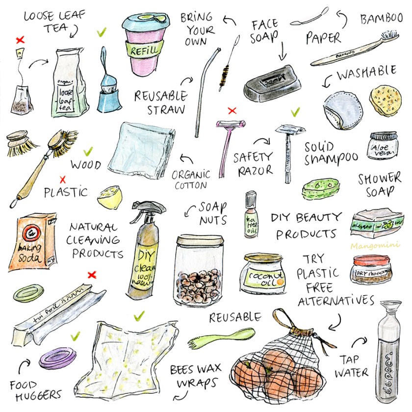 Plastic free alternatives for items we use daily